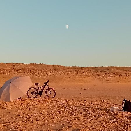 SEIGNOSSE PLAGES: Beau Studio équipé avec terrasse face aux dunes Esterno foto