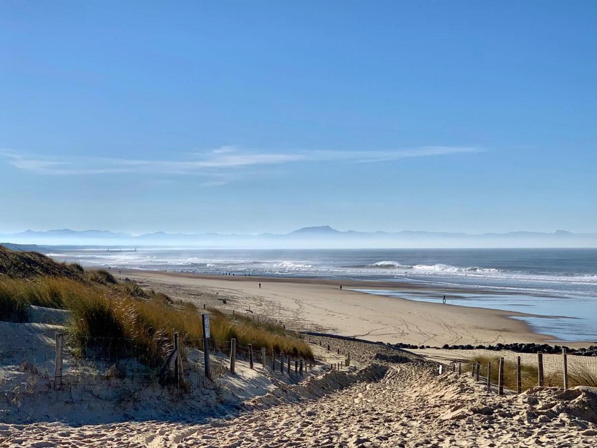 SEIGNOSSE PLAGES: Beau Studio équipé avec terrasse face aux dunes Esterno foto